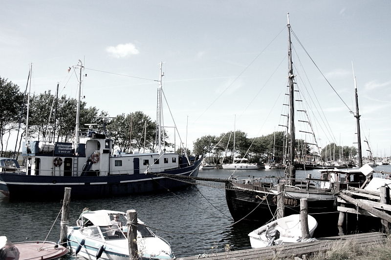 Killikus® Fotographie Killikus® Fotographie